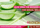 Aloe Vera The Wonder Herb for Sexual Wellness