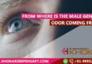 From Where Is The Male Genital Odor Coming From?