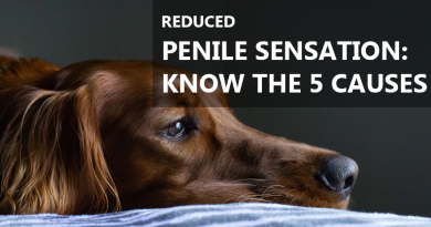 educed penile sensation Know the 5 causes