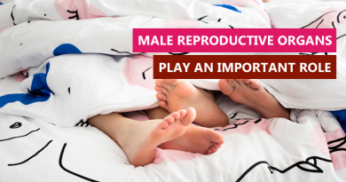 Male Reproductive Organs Play an Important Role