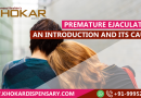 Premature Ejaculation: An Introduction and its causes Premature Ejaculation: An Introduction and its causes