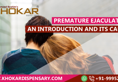 Premature Ejaculation: An Introduction and its causes Premature Ejaculation: An Introduction and its causes