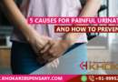 5 causes for painful urination and how to prevent it