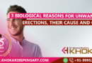 3 Biological Reasons for Unwanted Erections, their Cause and Cure