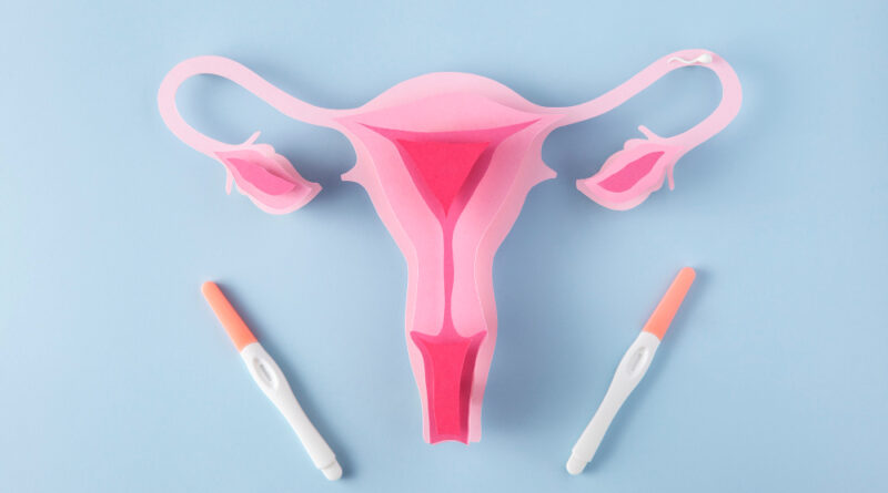 How Ovarian & Antral Follicles Relate to Fertility