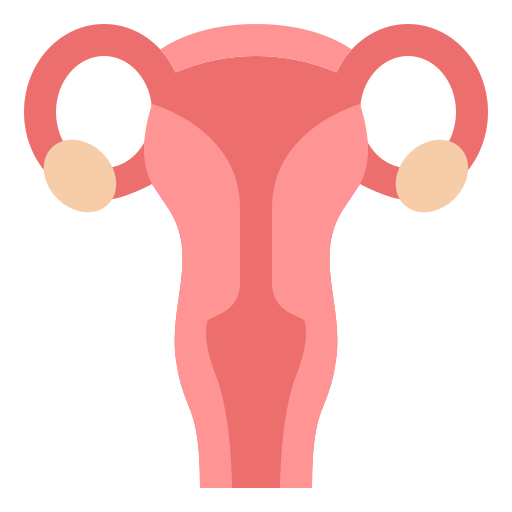 Uterine Polyps, Fibroids